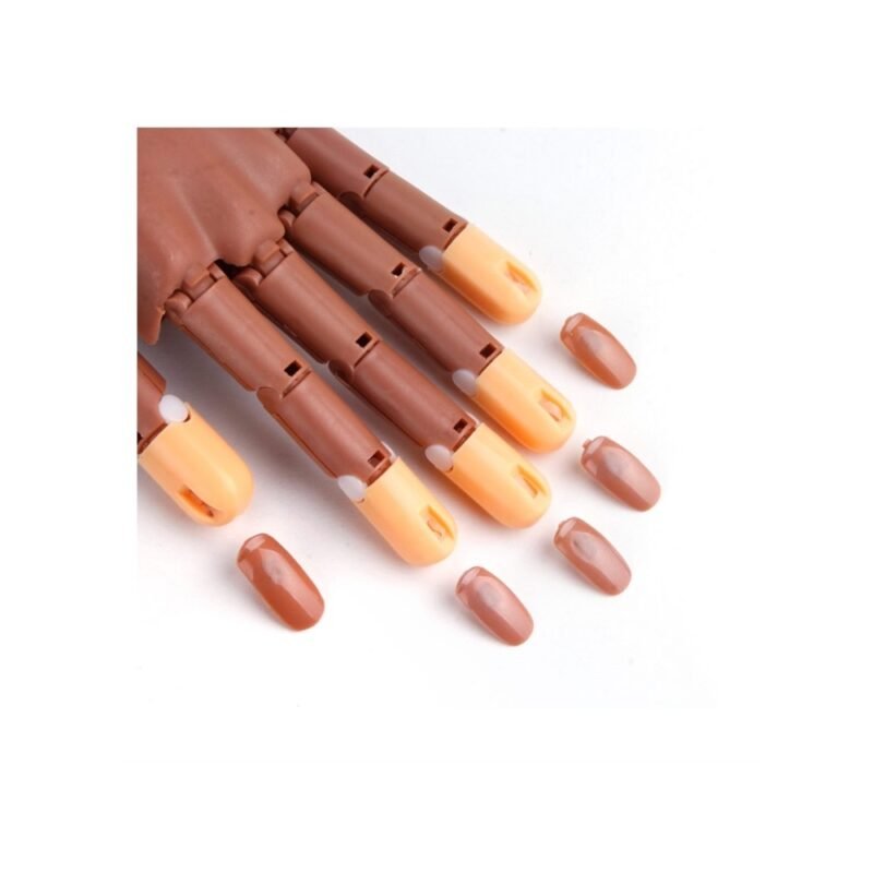 kambo-ekpaideytiko-cheri-me-vasi-1 Εκπαιδευτικό Χέρι με Βάση