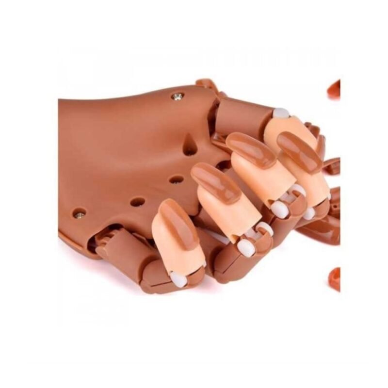 kambo-ekpaideytiko-cheri-me-vasi-2 Εκπαιδευτικό Χέρι με Βάση